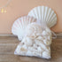 Premium White Seashell Organza Gift Bag